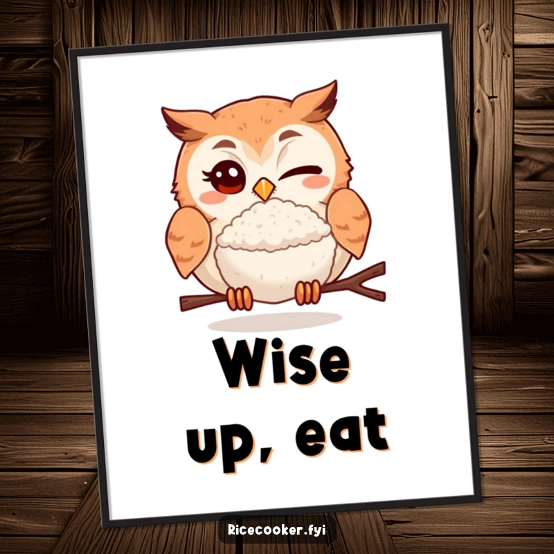 Funny poster featuring a winking owl offering a delicious rice ball, a whimsical and humorous art piece for any kitchen.